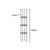 2X 133cm 4-Bar Plant Frame Stand Trellis Vegetable Flower Herbs Outdoor Vine Support Garden Rack with Rings