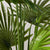 Soga 4 X 150cm Artificial Natural Green Fan Palm Tree Fake Tropical Indoor Plant Home Office Decor