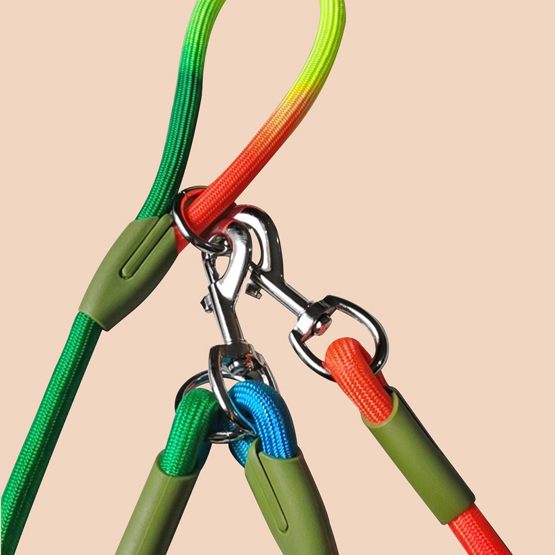 Soga 2 X 220cm Multifunction Hands Free Rope Pet Cat Dog Puppy Double Ended Leash For Walking Training Tracking Obedience Rainbow