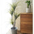 Soga 4 X 145cm Green Artificial Indoor Dragon Blood Tree Fake Plant Decorative