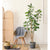 Soga 180cm Green Artificial Indoor Pocket Money Tree Fake Plant Simulation Decorative