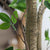 Soga 4 X 180cm Green Artificial Indoor Watercress Tree Fake Plant Simulation Decorative