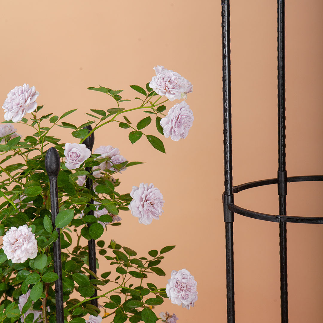 73cm 4-Bar Plant Frame Stand Trellis Vegetable Flower Herbs Outdoor Vine Support Garden Rack with Rings