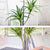 Soga 4 X 180cm Green Artificial Indoor Brazlian Iron Tree Fake Plant Decorative 3 Heads