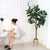 Soga 4 X 120cm Green Artificial Indoor Qin Yerong Tree Fake Plant Simulation Decorative