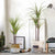 Soga 4 X 145cm Green Artificial Indoor Dragon Blood Tree Fake Plant Decorative