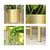 Soga 2 X 60cm Gold Metal Plant Stand With Flower Pot Holder Corner Shelving Rack Indoor Display