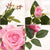 Soga 12pcs Artificial Silk Flower Fake Rose Bouquet Table Decor Pink