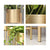 Soga 2 X 45 Cm Gold Metal Plant Stand With Flower Pot Holder Corner Shelving Rack Indoor Display