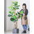 Soga 2 X 155cm Green Artificial Indoor Qin Yerong Tree Fake Plant Simulation Decorative