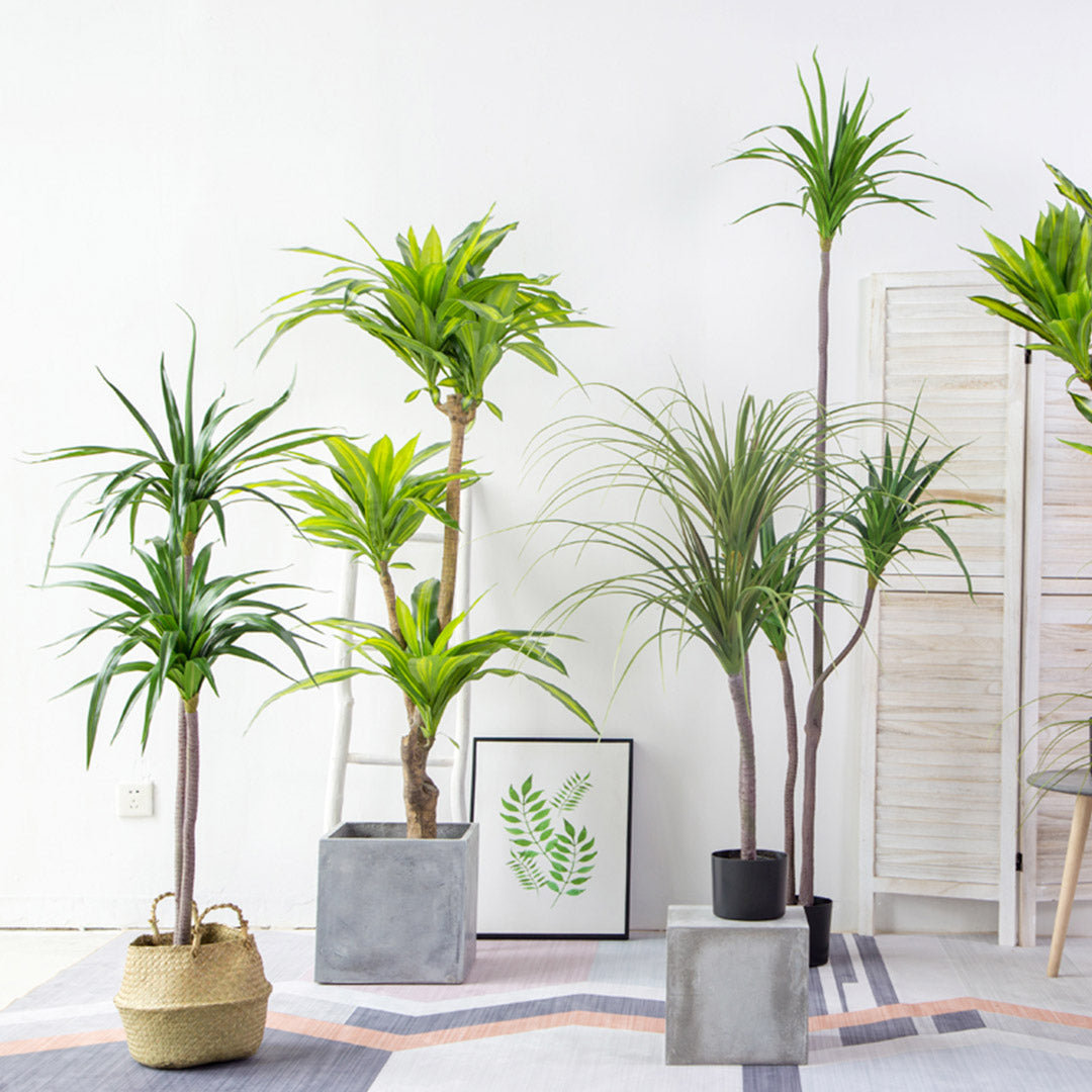 Soga 4 X 180cm Green Artificial Indoor Brazlian Iron Tree Fake Plant Decorative 4 Heads