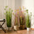 Soga 150cm Purple Red Artificial Indoor Potted Papyrus Plant Tree Fake Simulation Decorative