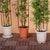 133cm 4-Bar Plant Frame Stand Trellis Vegetable Flower Herbs Outdoor Vine Support Garden Rack with Rings