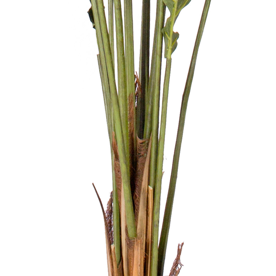 Soga 2 X 210cm Green Artificial Indoor Rogue Areca Palm Tree Fake Tropical Plant Home Office Decor