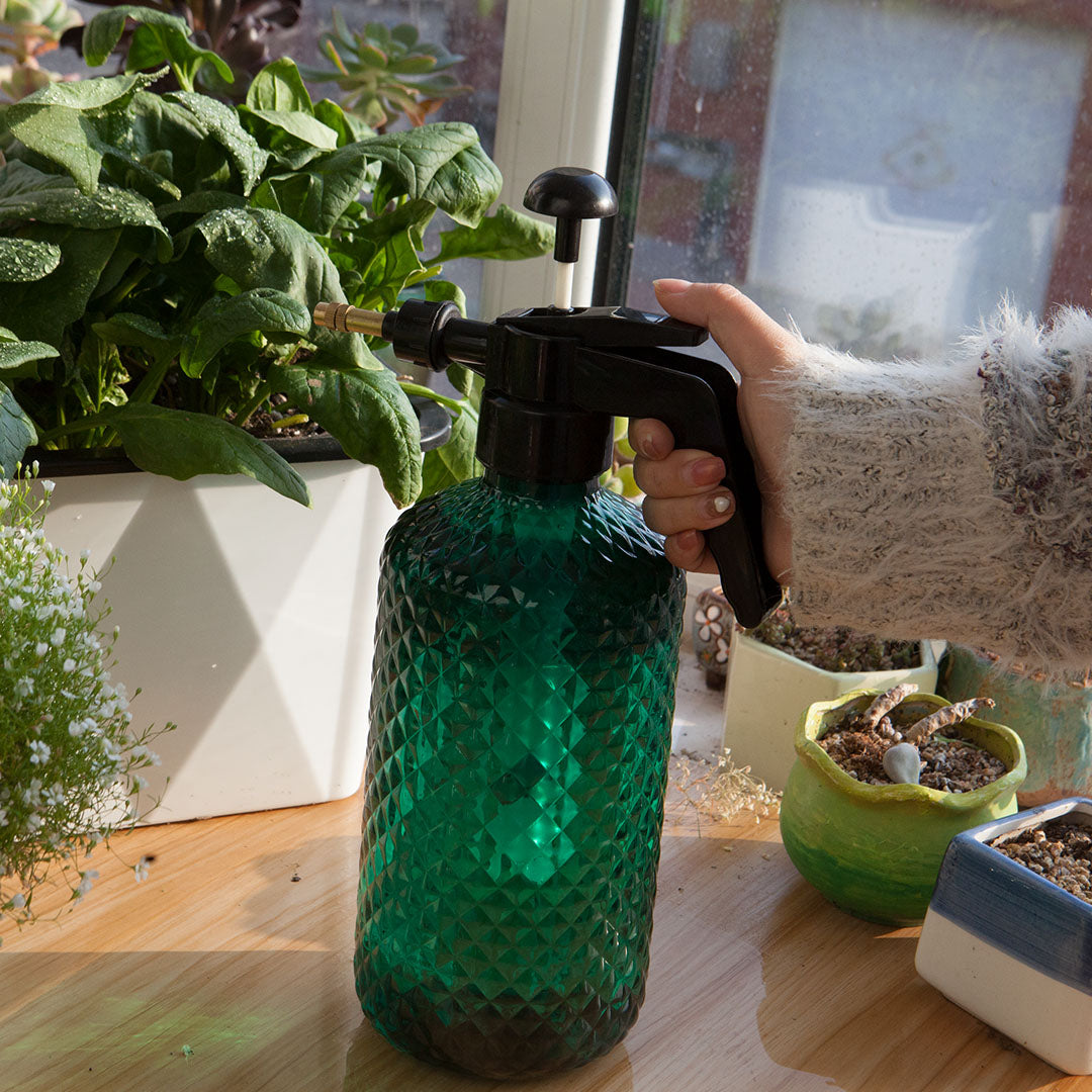 2X 2 Liter Mist Water Spray Bottle Hand Held Pressure Adjustable Nozzle with Top Pump Indoor Outdoor Gardening
