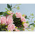 Soga 12pcs Artificial Silk Flower Fake Rose Bouquet Table Decor Pink