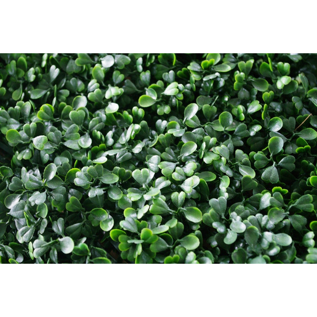 Box Wood Screens / Panels UV Stabilised 1m X 1m