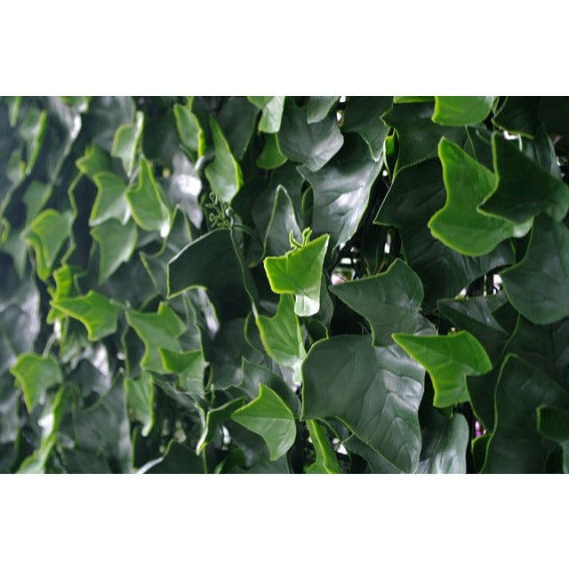 Ivy Leaf Screens / Panels UV Stabilised 1m X 1m
