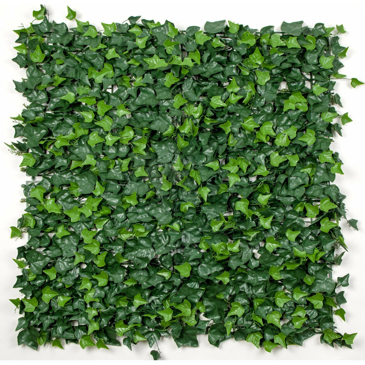 Ivy Leaf Screens / Panels UV Stabilised 1m X 1m