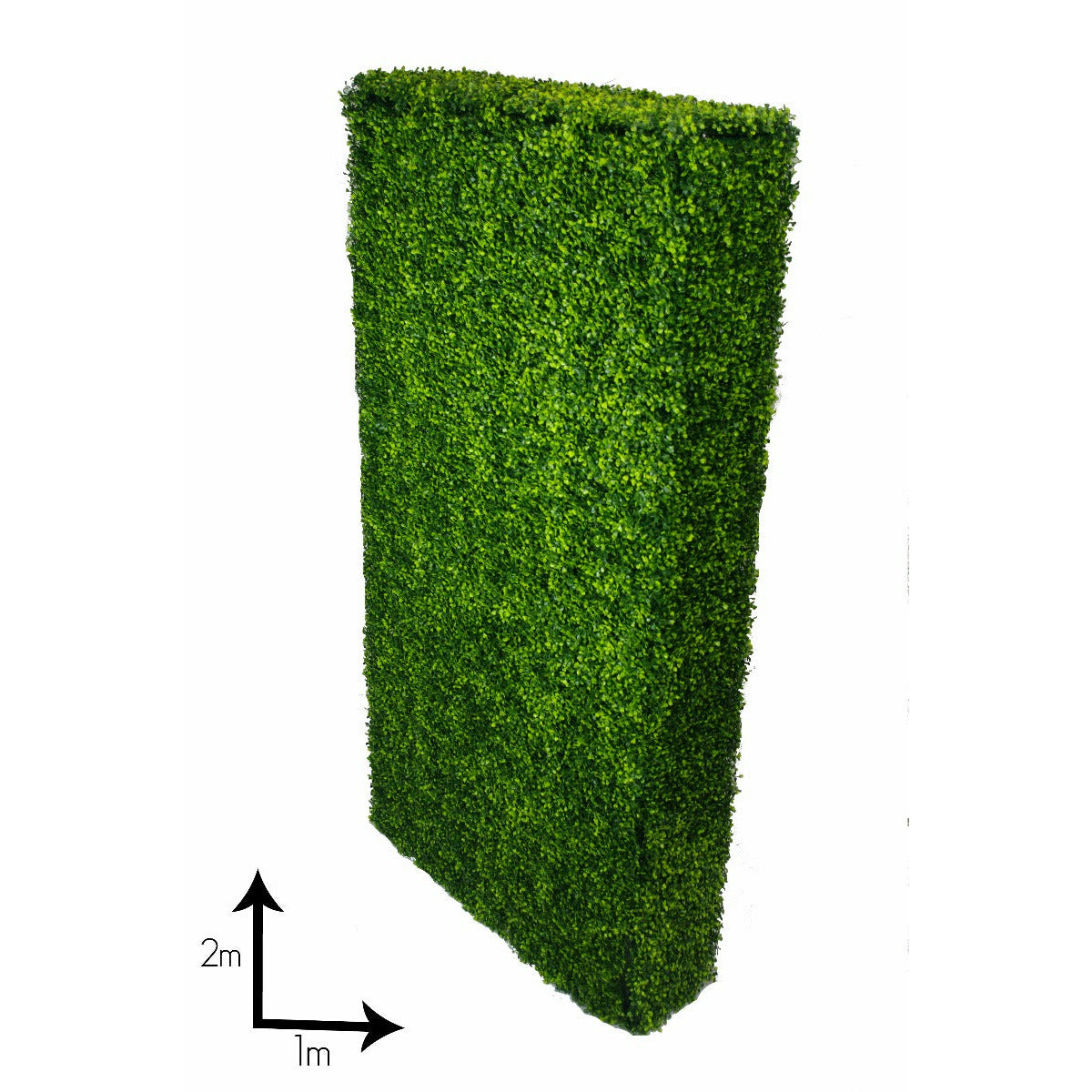 Large Portable Boxwood Hedges UV Stabilised 2m By 1m