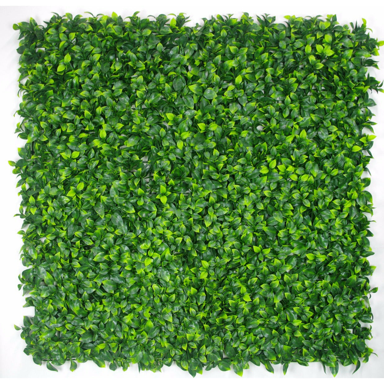 Jasmine Leaf Screens / Panels UV Stabilised 1m X 1m