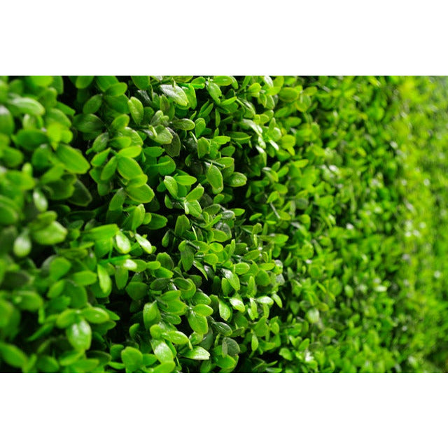 Portable Buxus Hedge UV Stabilised 75cm X 75cm