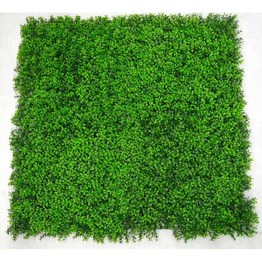 Deluxe Buxus Panels UV Stabilised 1m X 1m