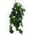 Hanging White Rose Stem UV 85cm