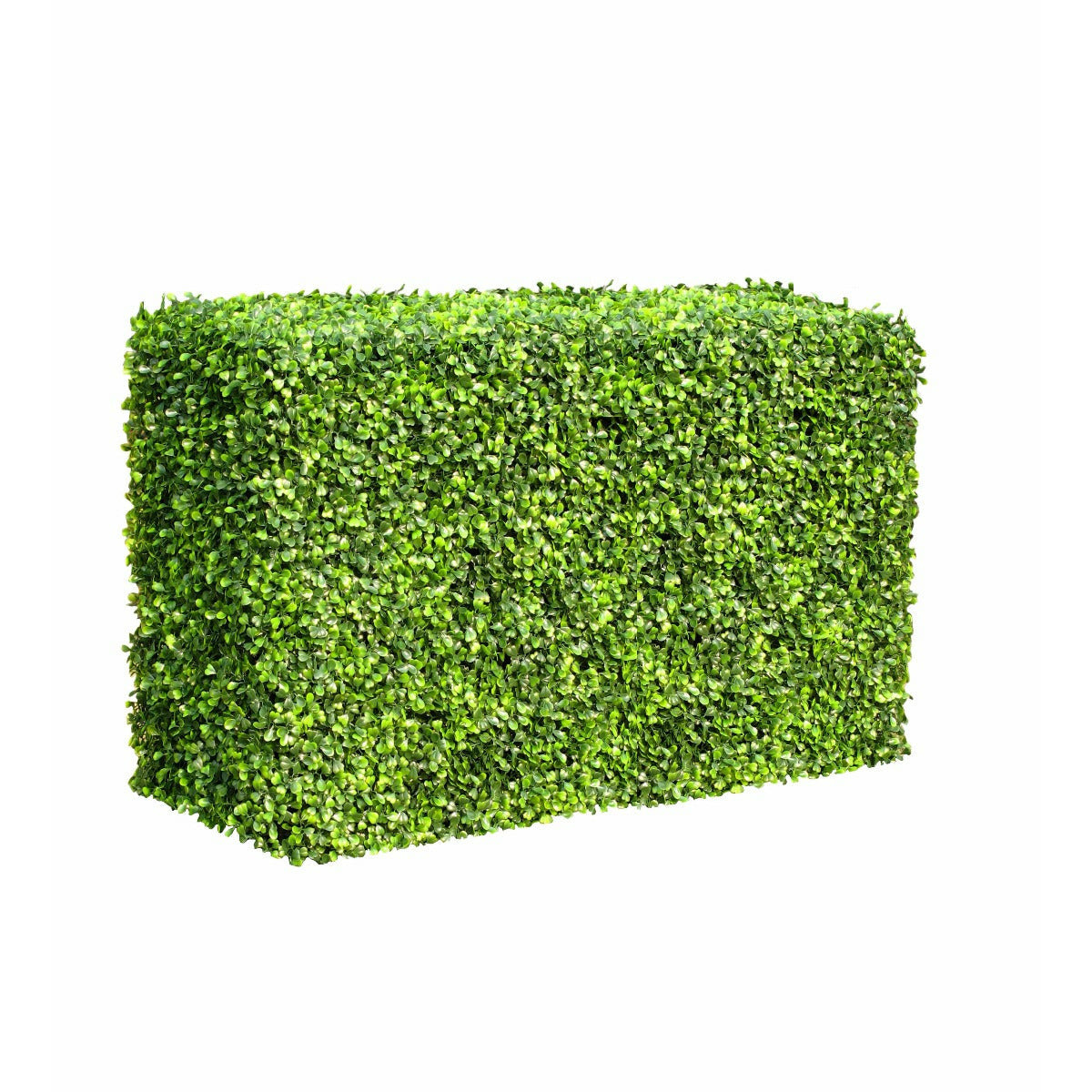 Portable Boxwood Hedge 1m Long 50cm High 30cm Deep