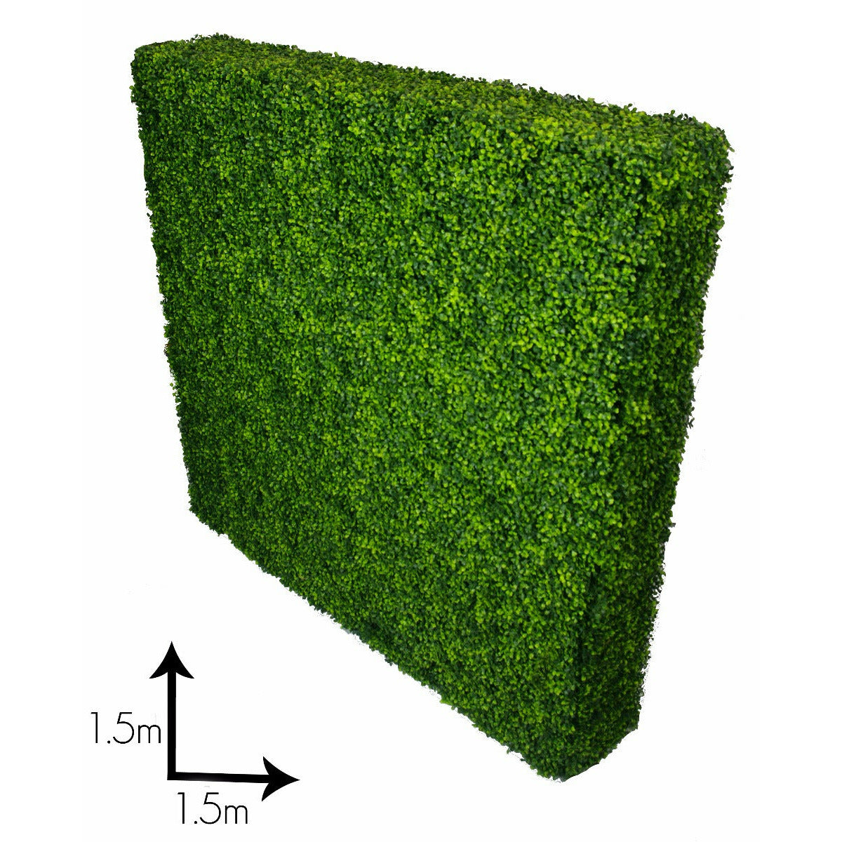 Large Portable Boxwood Hedges UV Stabilised 1.5m By 1.5m