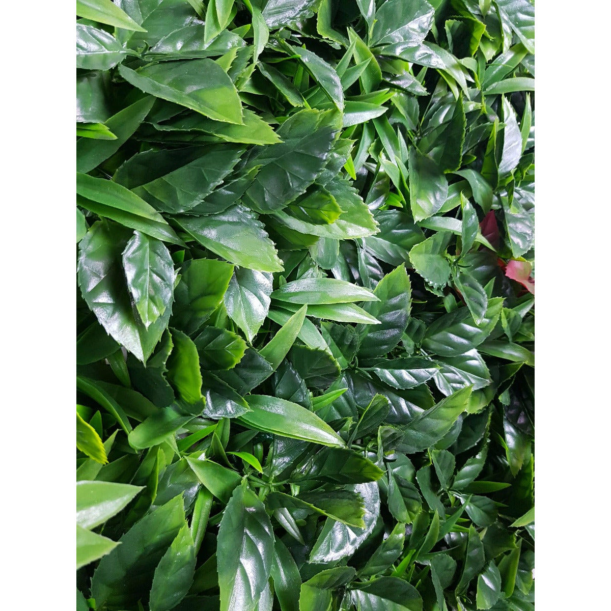 Green Meadows Vertical Garden UV Stabilised 1m X 1m