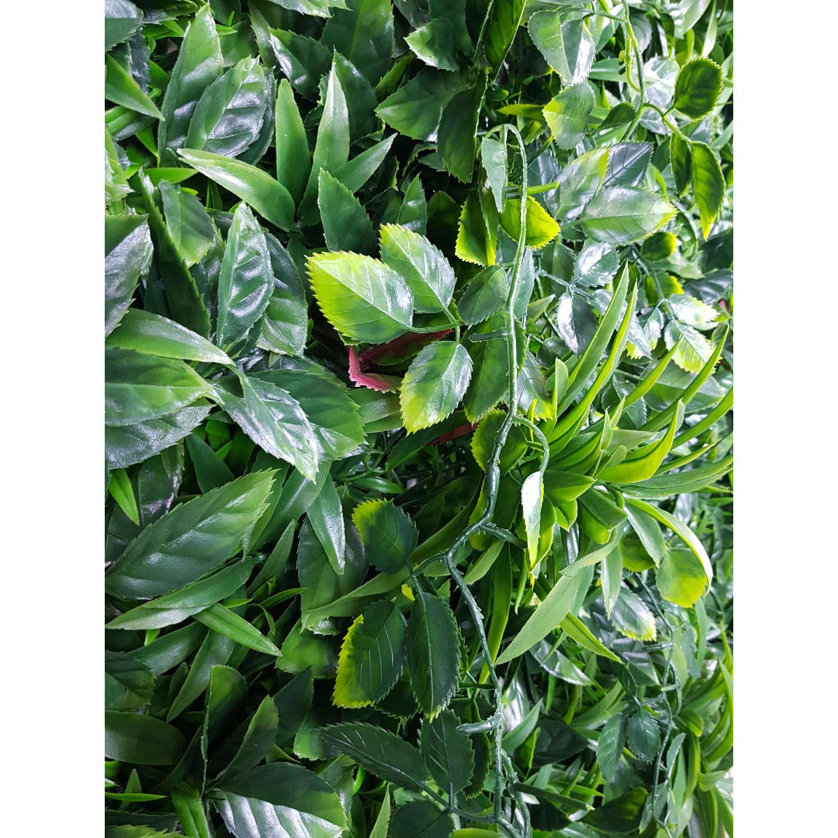 Green Meadows Vertical Garden UV Stabilised 1m X 1m
