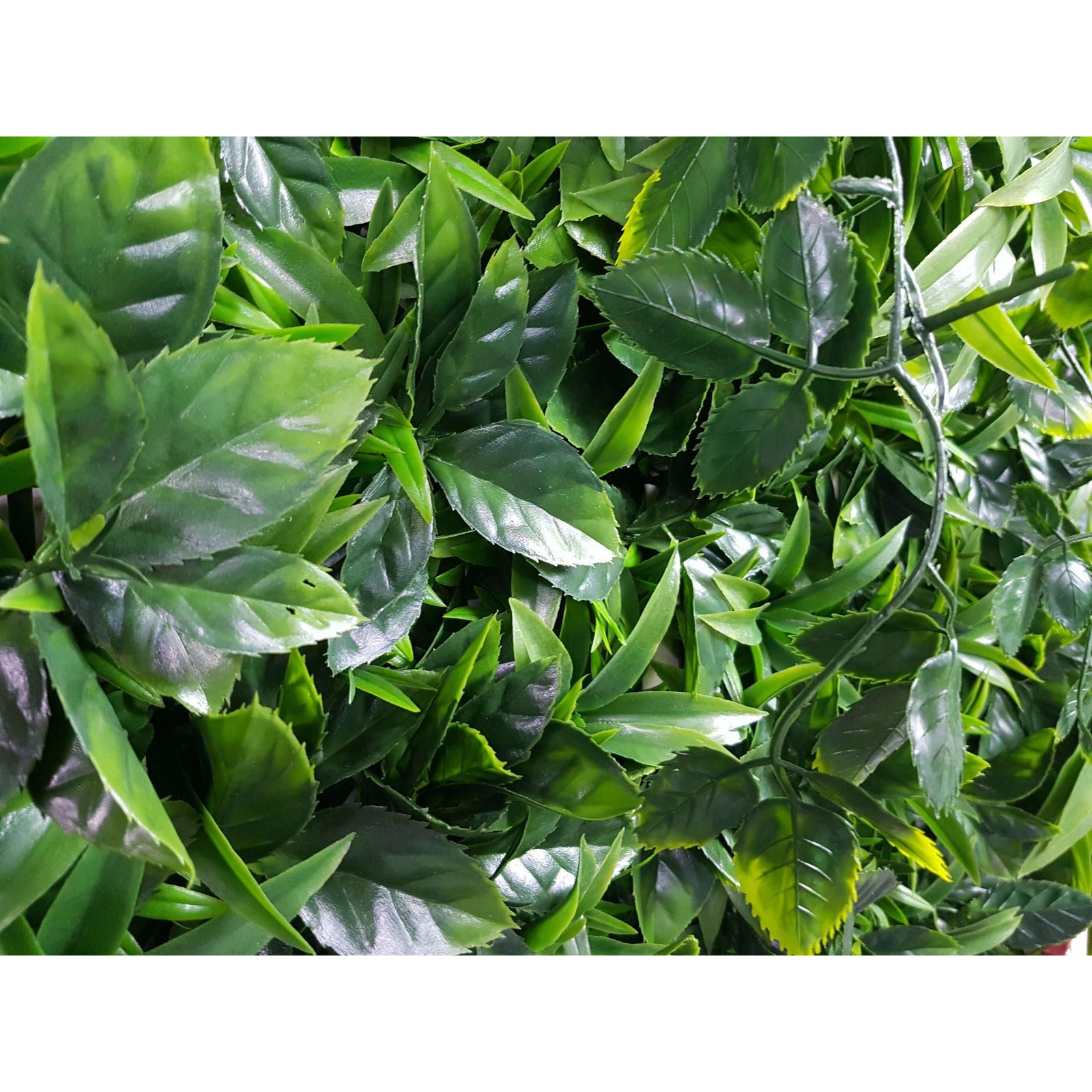 Green Meadows Vertical Garden UV Stabilised 1m X 1m