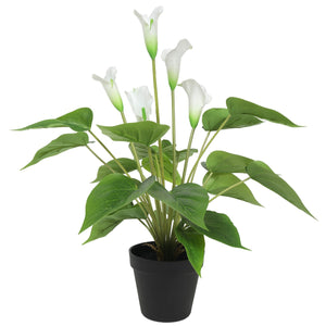Artificial Flowering White Peace Lily / Calla Lily Plant 50cm