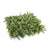 Deluxe Portable Buxus Hedge UV Resistant 100cm Long x 200cm High