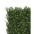 Premium Natural Buxus Hedge Panels UV Resistant 1m x 1m