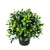 Small Potted Artificial Jasmine Plant UV Resistant 20cm