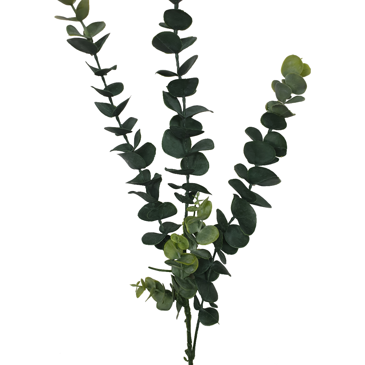 5 Pack - Long Eucalyptus Stem 77 cm