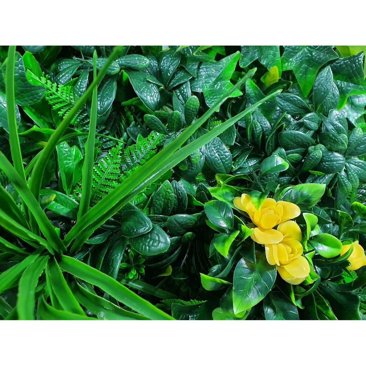 Yellow Rose Vertical Garden / Green Wall UV Resistant 100cm x 100cm