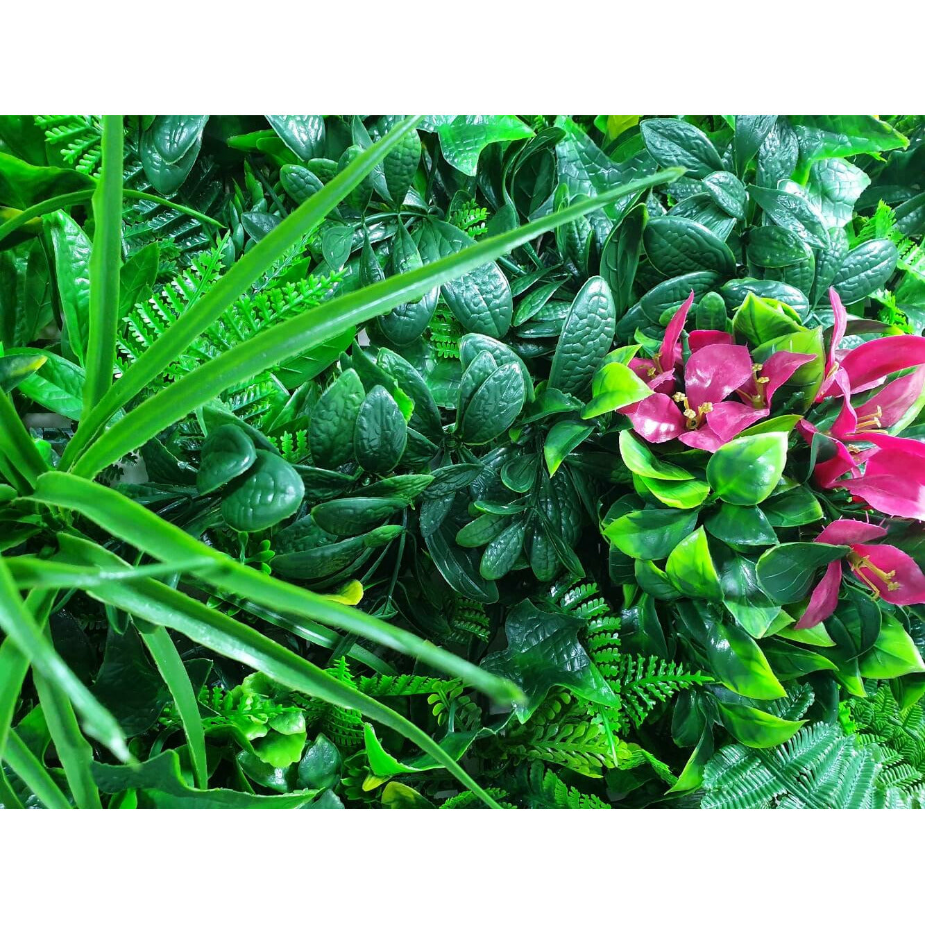 Elegant Red Rose Vertical Garden / Green Wall UV Resistant 100cm x 100cm