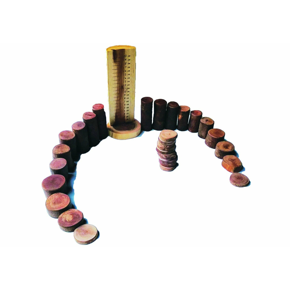 Tree Maths Set With Ruler