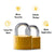 Blossom Padlock Brass Heavy Duty 30Mm Key Alike 4Pcs