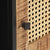 TV Cabinet 120x30x40 cm Rough Mango Wood and Natural Cane