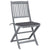 Folding Outdoor Chairs 2 pcs with Cushions Solid Acacia Wood