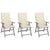 Garden Reclining Chairs 3 pcs with Cushions Solid Acacia Wood