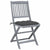 Folding Outdoor Chairs 6 pcs with Cushions Solid Acacia Wood