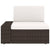 10 Piece Garden Lounge Set with Cushions Brown Poly Rattan