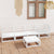 5 Piece Garden Lounge Set White Solid Pinewood