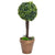 Artificial Boxwood Plants 2 pcs with Pots Ball Shaped Green 56 cm