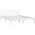 Bed Frame without Mattress White Solid Wood Pine 150x200 cm